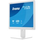 iiyama ProLite B1980S-W1 écran plat de PC 48,3 cm (19") 1280 x 1024 pixels SVGA LED Blanc