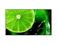 NEC MultiSync E988 Écran plat de signalisation numérique 2,48 m (97.5") LCD 350 cd/m² 4K Ultra HD Noir 24/7