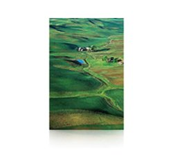 Epson Premium SemiGloss Photo Paper(250), in rotoli da 152, 4cm x 30, 5m