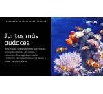 Xerox C230/C235 Cartucho de tóner amarillo de alta capacidad (2500 páginas)