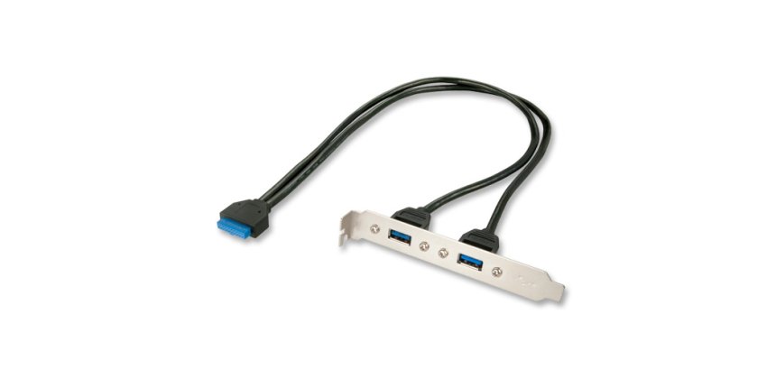Lindy Adaptateur slot USB 3.0, 2 x USB 3.0 prises Type A