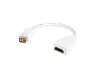 StarTech.com Adaptateur de câble vidéo Mini DVI vers HDMI pour Macbook et iMac