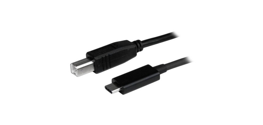 StarTech.com Câble USB-B vers USB-C de 1m, Câble de Transfert de Données, USB 2.0, USB-C