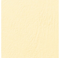 GBC Copertine rilegatura LeatherGrain 250 gsm A4 avorio (100)