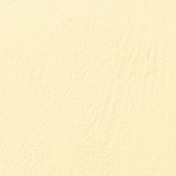 GBC LeatherGrain Binding Covers 250gsm A4 Ivory (100)