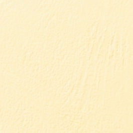 GBC LeatherGrain Binding Covers 250gsm A4 Ivory (100)