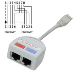 Lindy UTP Port Doubler cable de red Gris