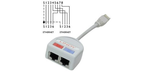 Lindy UTP Port Doubler cable de red Gris