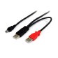 StarTech.com 6 ft USB Y Cable for External Hard Drive - USB A to mini B