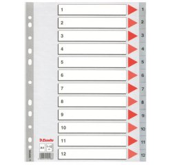 Intercalaire esselte polypropylène 12 positions 225x297mm document a4 bande perforée renforcée