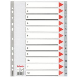 Intercalaire esselte polypropylène 12 positions 225x297mm document a4 bande perforée renforcée