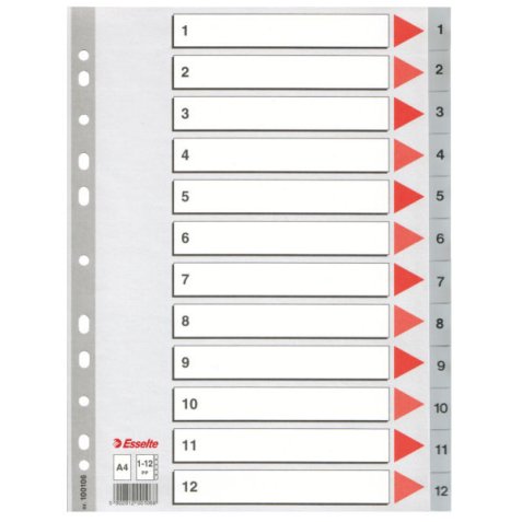 Intercalaire esselte polypropylène 12 positions 225x297mm document a4 bande perforée renforcée