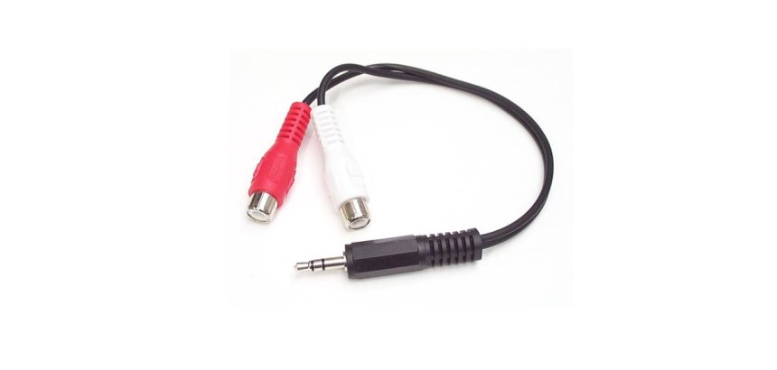 StarTech.com Câble Adaptateur Audio Mini-Jack 3.5mm Mâle vers 2x RCA / Cinch Femelle - 15 cm