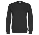 Cottover SWEATSHIRT COL ROND HOMME - CERTIFIÉ GOTS