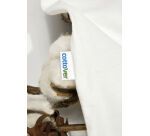 Cottover T-SHIRT COL ROND FEMME - CERTIFIÉ GOTS