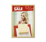 Cadre Clic-Clac Standard A1 Coins en Onglet 25 mm l'Or