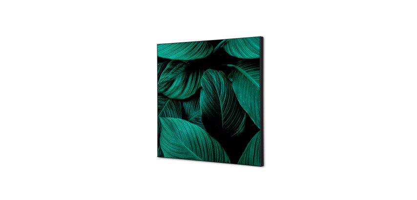 Spannstoff Wanddekoration SET 40 x 40 Botanische Blätter Grün