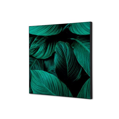 decoración textil de Pared SET 40 x 40 Hoja Botánica Verde