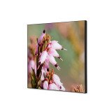 Decoración Textil de Pared SET 40 x 40 Flor Rosa Erica