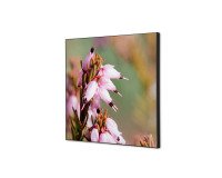 Wanddecoratie Textiel SET 40 x 40 Roze Bloem Erica