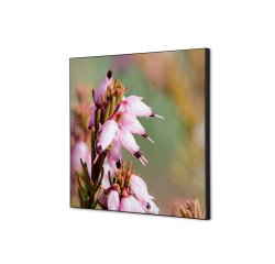 Textile Wall Decoration SET 40 x 40 Pink Flower Erica I5