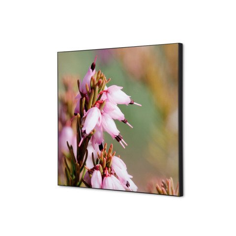 decoración textil de Pared SET 40 x 40 Flor Rosa Erica