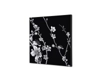 Wanddecoratie Textiel SET 40 x 40 Japanse Bloesem Zwart