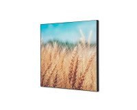 Décoration Murale en Tissu SET 40 x 40 Champ de Céréales