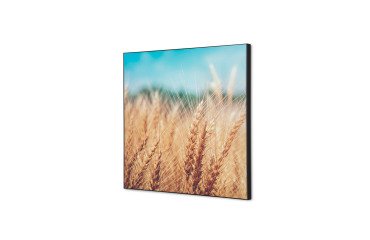 decoración textil de Pared SET 40 x 40 Campo de Grano