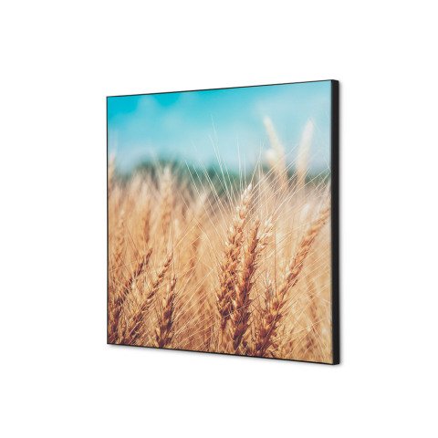 decoración textil de Pared SET 40 x 40 Campo de Grano