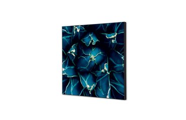 decoración textil de Pared SET 40 x 40 Cactus Azul