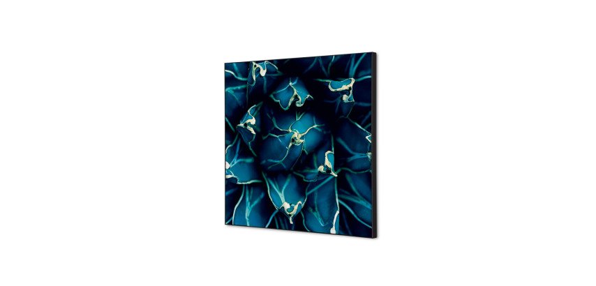 Décoration Murale en tissu SET 40 x 40 Cactus Bleu