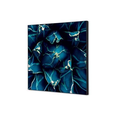 decoración textil de Pared SET 40 x 40 Cactus Azul