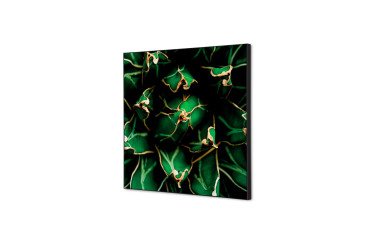 decoración textil de Pared SET 40 x 40 Cactus Verde