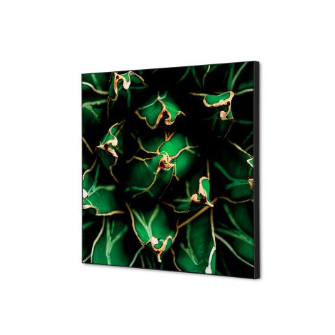 decoración textil de Pared SET 40 x 40 Cactus Verde