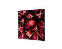 Décoration Murale en Tissu SET 40 x 40 Cactus Rouge