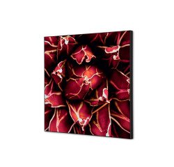 Textile Wall Decoration SET 40 x 40 Cactus Red I821