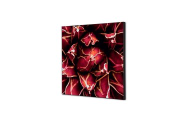 decoración textil de Pared SET 40 x 40 Cactus Rojo
