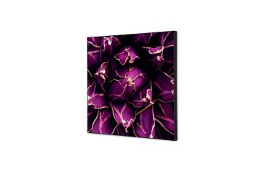 decoración textil de Pared SET 40 x 40 Cactus Morado