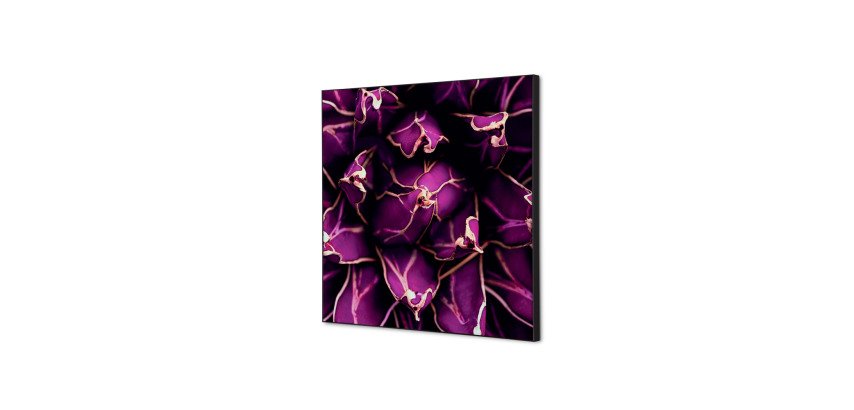 Textile Wall Decoration SET 40 x 40 Cactus Purple I822