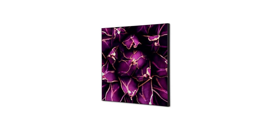 Décoration Murale en Tissu SET 40 x 40 Cactus Violet