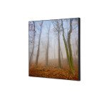 Décoration Murale en Tissu SET 40 x 40 Brume d'automne