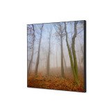 Decoración Textil de Pared SET 40 x 40 Niebla de Otono