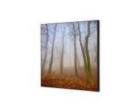Décoration Murale en Tissu SET 40 x 40 Brume d'automne