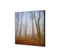 Textile Wall Decoration SET 40 x 40 Autumn Mist I823