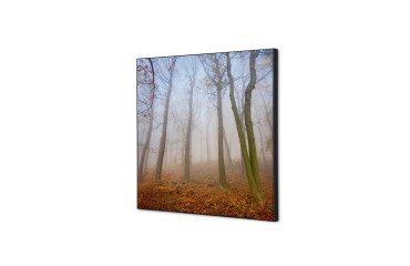 decoración textil de Pared SET 40 x 40 Niebla de Otono