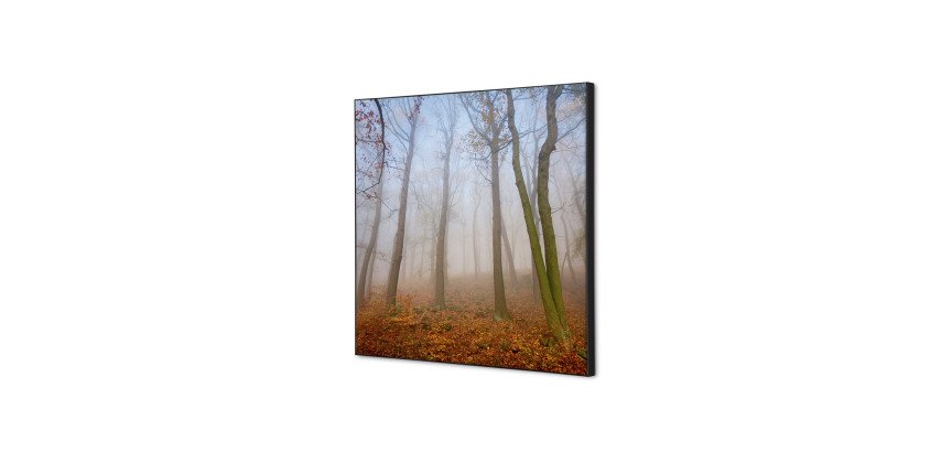 Spannstoff Wanddekoration SET 40 x 40 Herbstnebel