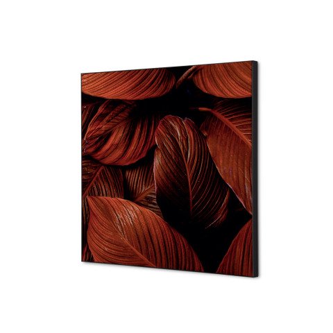 decoración textil de Pared SET 40 x 40 Hoja Botánica Roja