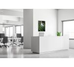 Décoration Murale en Tissu SET 40 x 40 Fleur Blanche Spirée