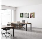 Décoration Murale en Tissu SET 40 x 40 Fleur Blanche Spirée